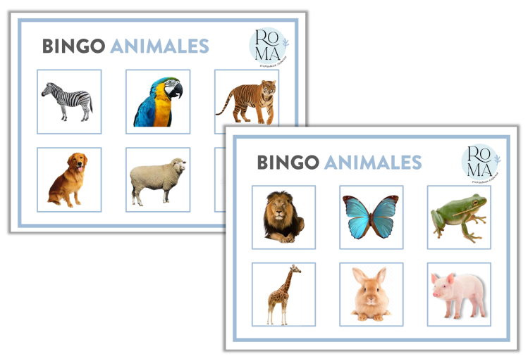 Láminas de vocabulario visual - Animales